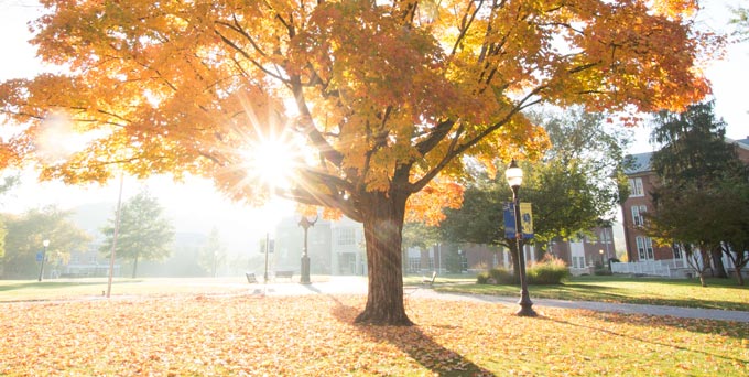 campus with Fall leaves